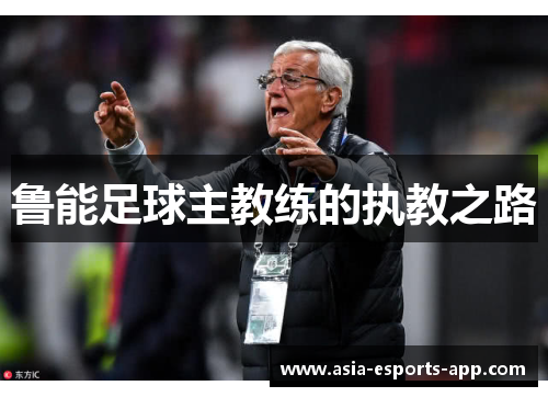 鲁能足球主教练的执教之路