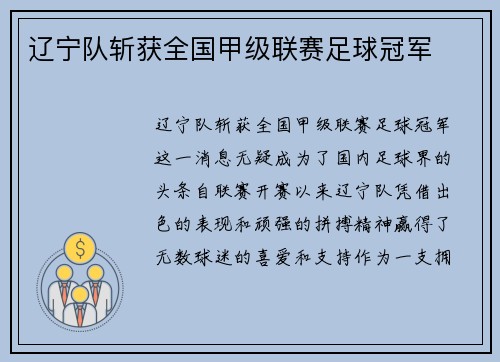 辽宁队斩获全国甲级联赛足球冠军