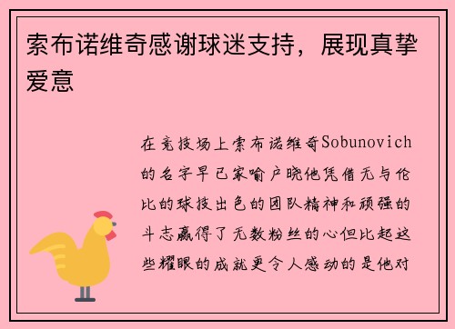 索布诺维奇感谢球迷支持，展现真挚爱意